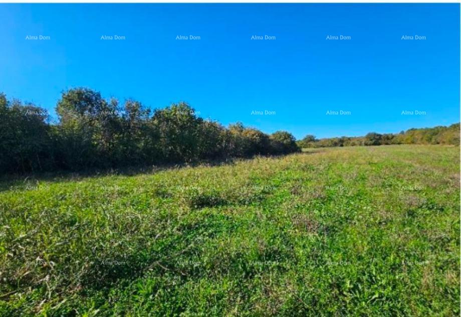 Parcela Na predaj - Istarska Marčana - foto 3/4