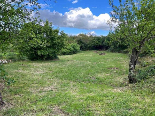 Pozemok na predaj 1137 m² – Kanfanar