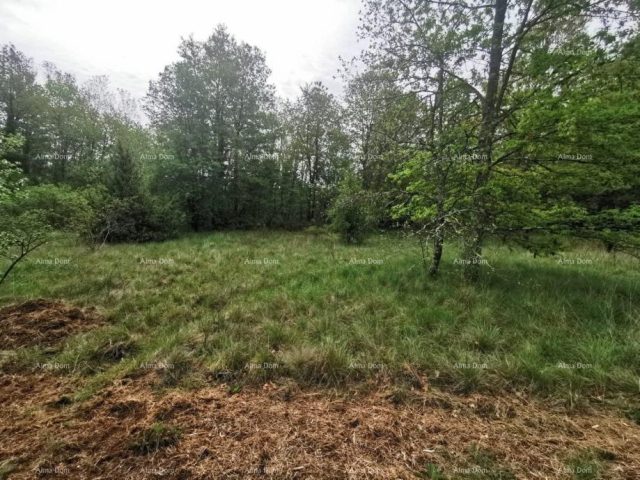 Terreno in vendita 1817 m² – Santalezi