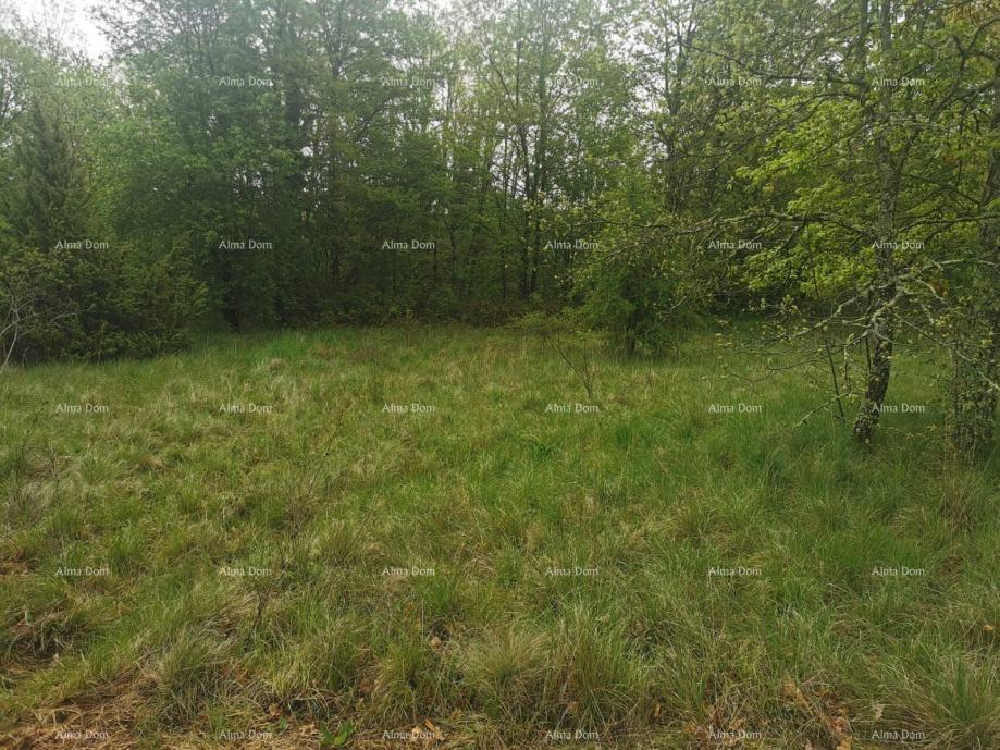 Terreno In vendita - ISTARSKA SVETA NEDELJA