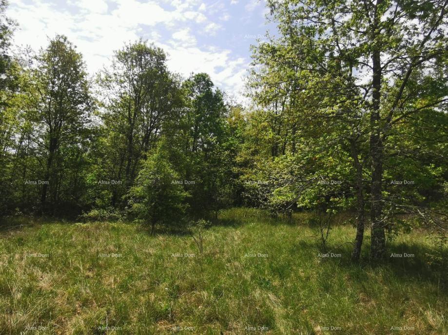 Terreno In vendita - ISTARSKA SVETA NEDELJA