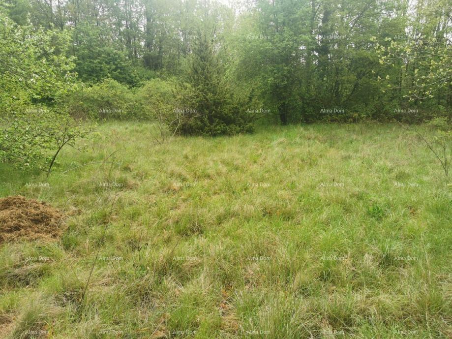 Terreno In vendita - ISTARSKA SVETA NEDELJA