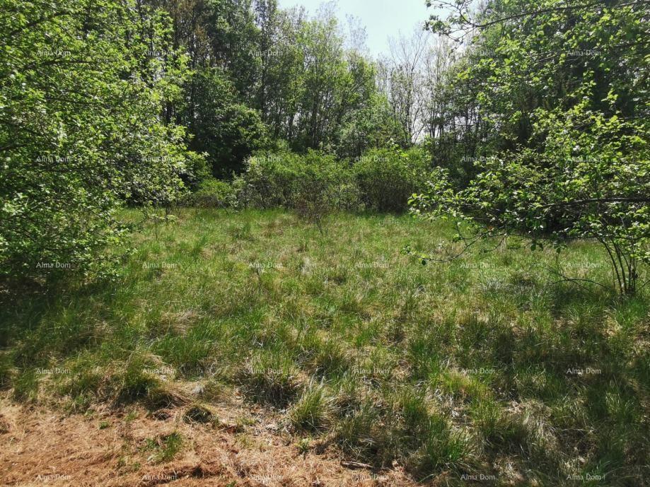 Terreno In vendita - ISTARSKA SVETA NEDELJA