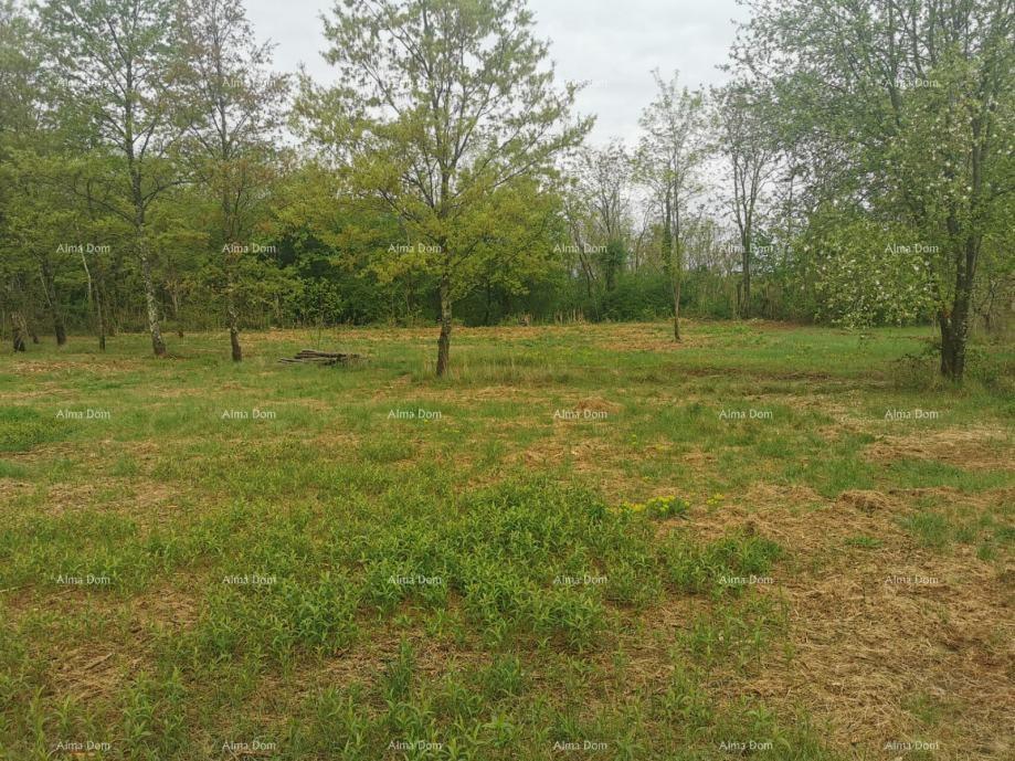Terreno In vendita - ISTARSKA SVETA NEDELJA