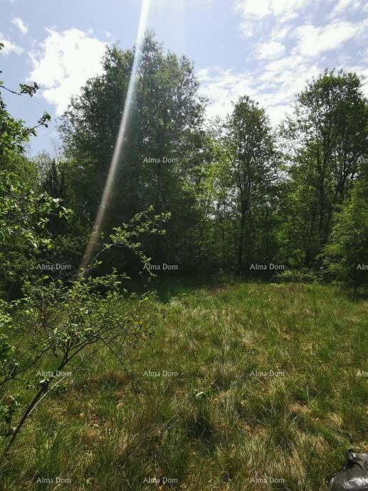 Terreno In vendita - ISTARSKA SVETA NEDELJA