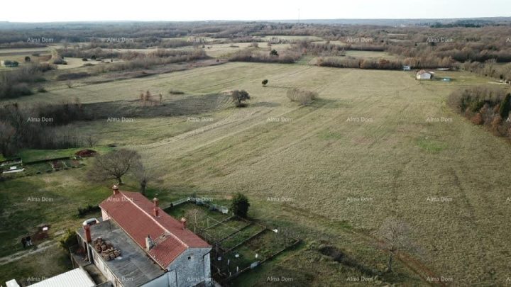 Grundstück zu verkaufen 32900 m² – Barban