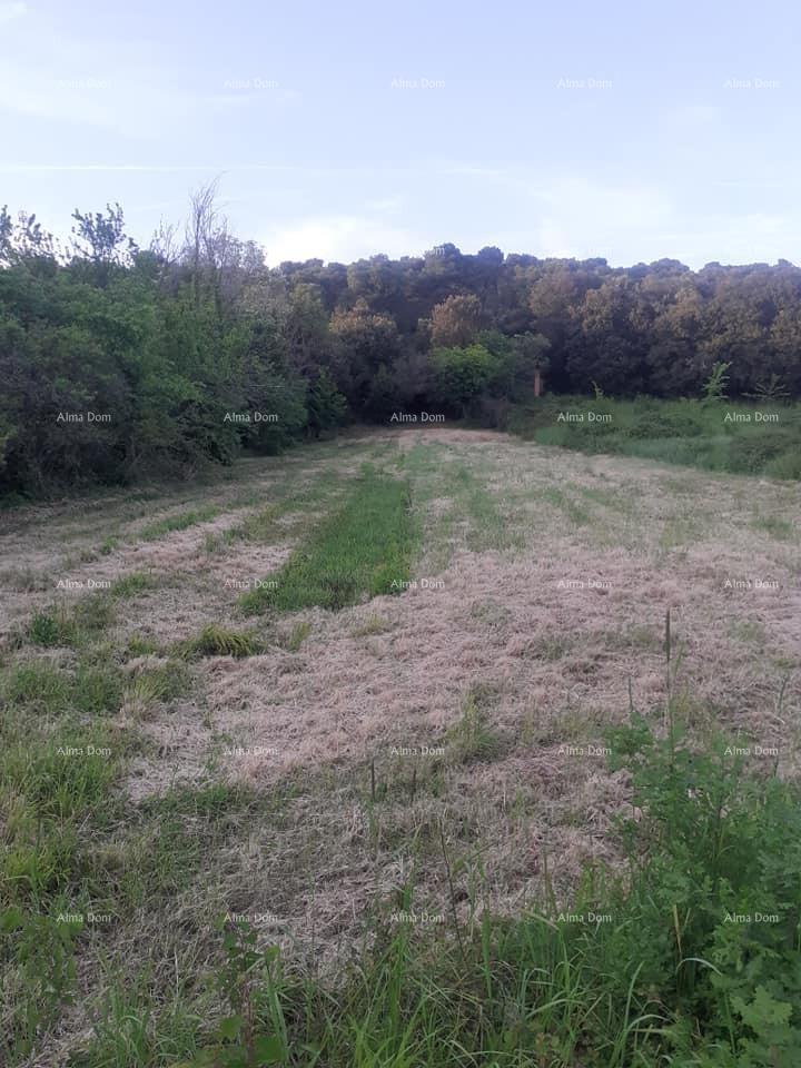 Parcela Na predaj - ISTARSKA MEDULIN