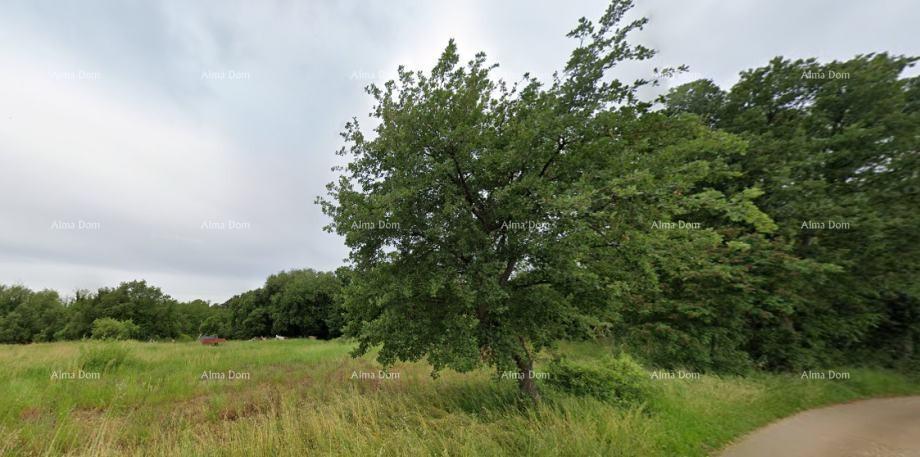 Zemljište Na prodaju - ISTARSKA Kaštelir-Labinci