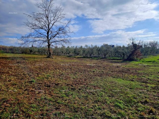 Land For sale - Istarska Novigrad - foto 3/3