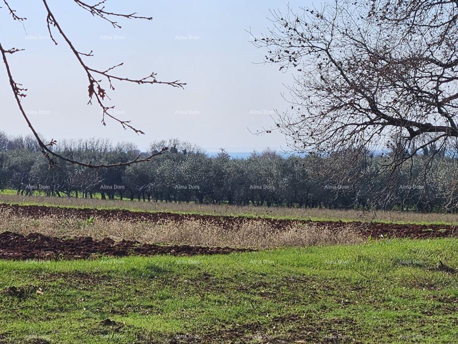 Land For sale - Istarska Novigrad - foto 2/3