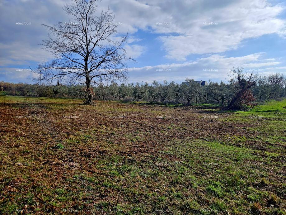 Land For sale - Istarska Novigrad - foto 3/3