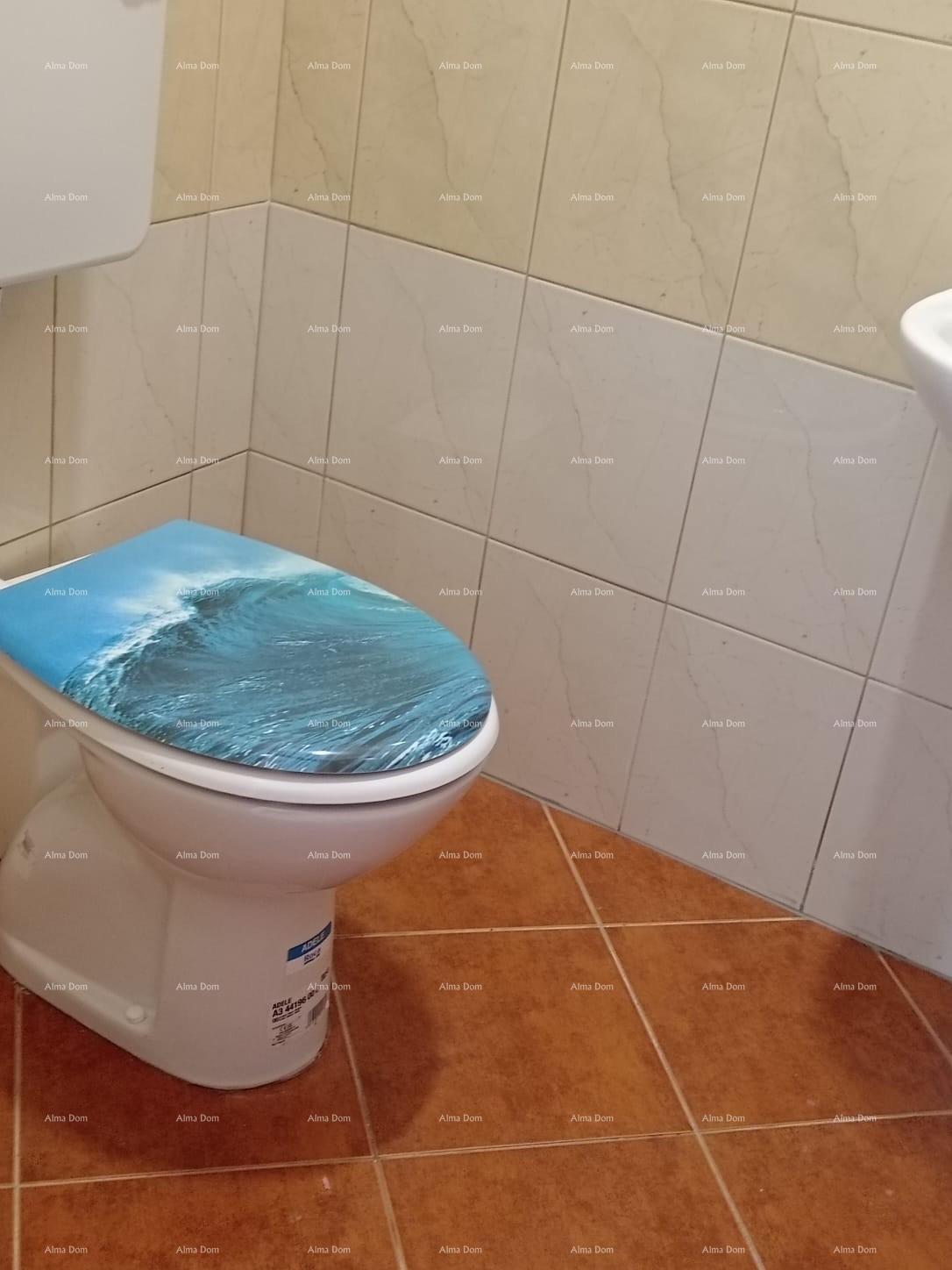 Dům Na prodej - ISTARSKA LIžNJAN