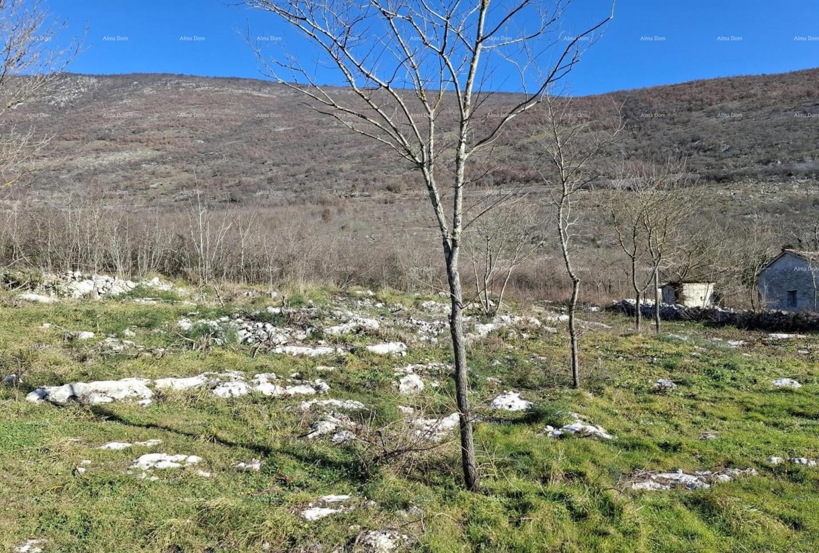 Terreno In vendita - ISTARSKA KRšAN
