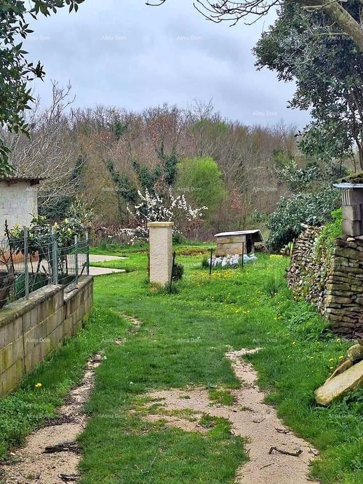 Land For sale - ISTARSKA ŽMINJ