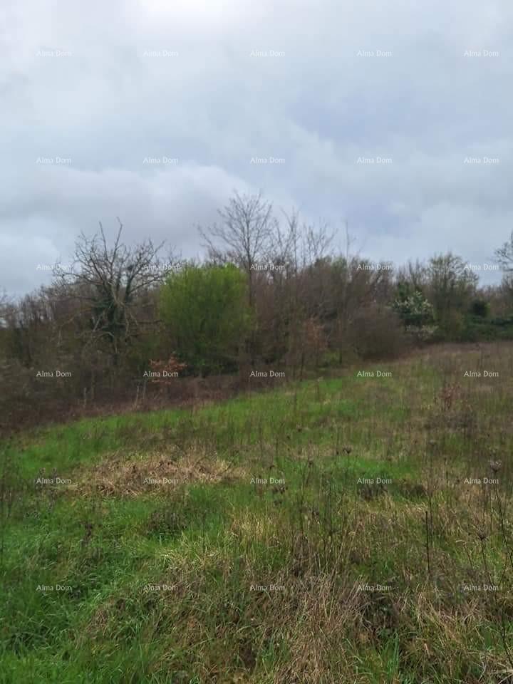 Land For sale - ISTARSKA ŽMINJ