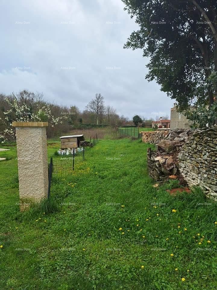 Land For sale - ISTARSKA ŽMINJ