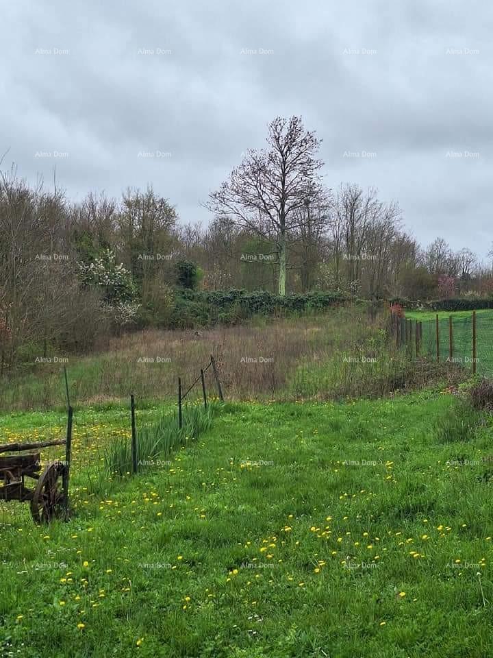 Terrain À vendre - ISTARSKA Žminj