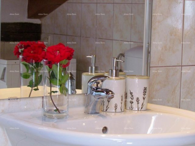 Apartment Zu verkaufen - Istarska Brtonigla - foto 5/7