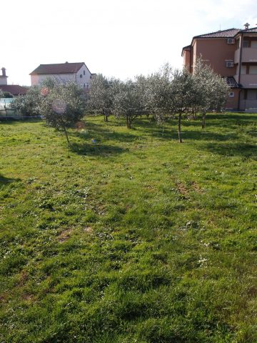 Gewerbefläche Zu verkaufen - Istarska Ližnjan - foto 5/8