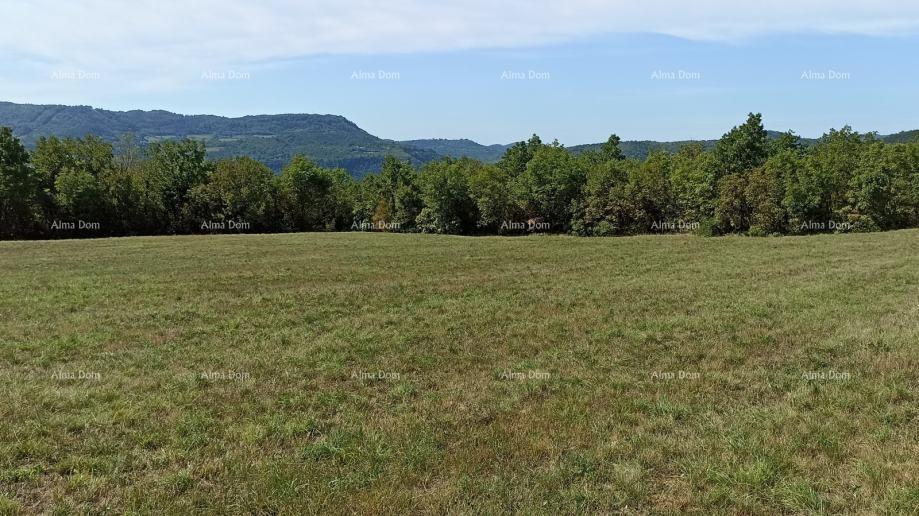 Terreno In vendita - ISTARSKA BUZET