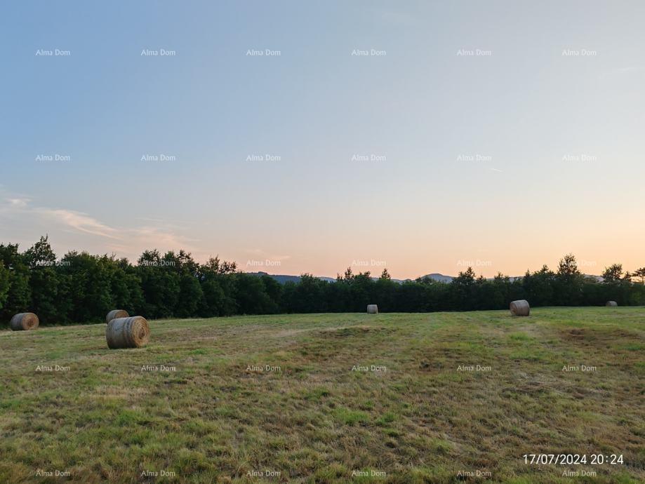 Terreno In vendita - ISTARSKA BUZET