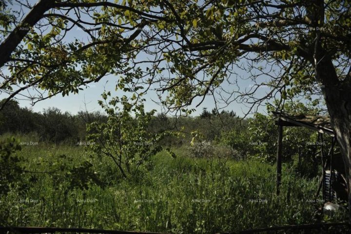 Pozemek Na prodej - Istarska Marčana - foto 2/3