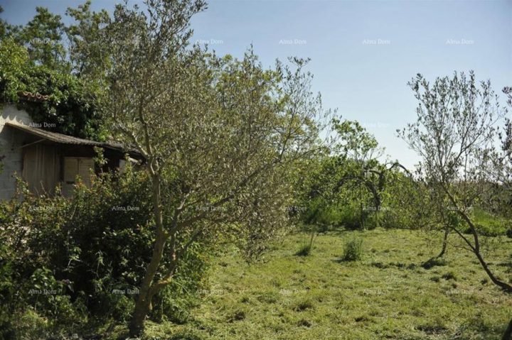 Pozemek Na prodej - Istarska Marčana - foto 3/3