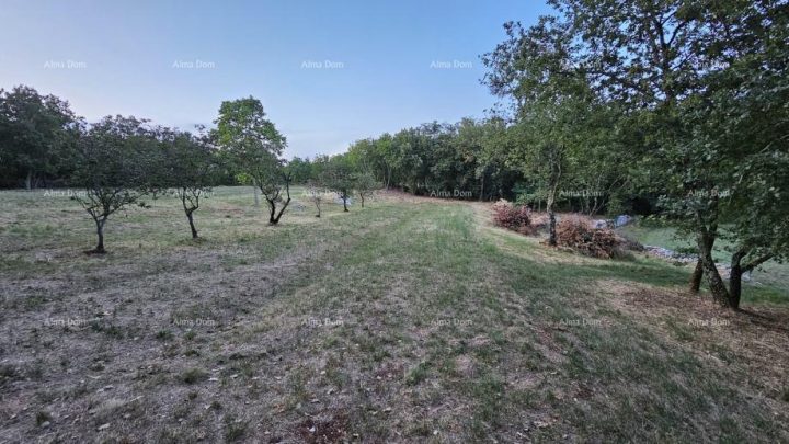 Land For sale - Istarska Tinjan - foto 2/11