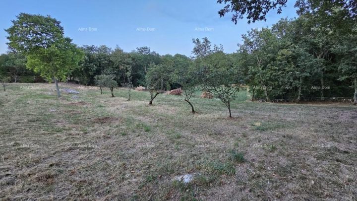 Land For sale - Istarska Tinjan - foto 5/11