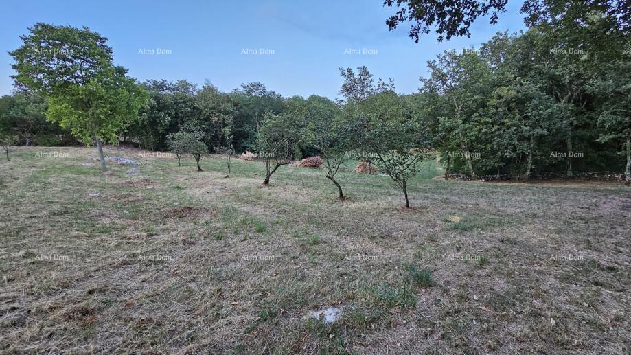 Pozemek Na prodej - ISTARSKA TINJAN