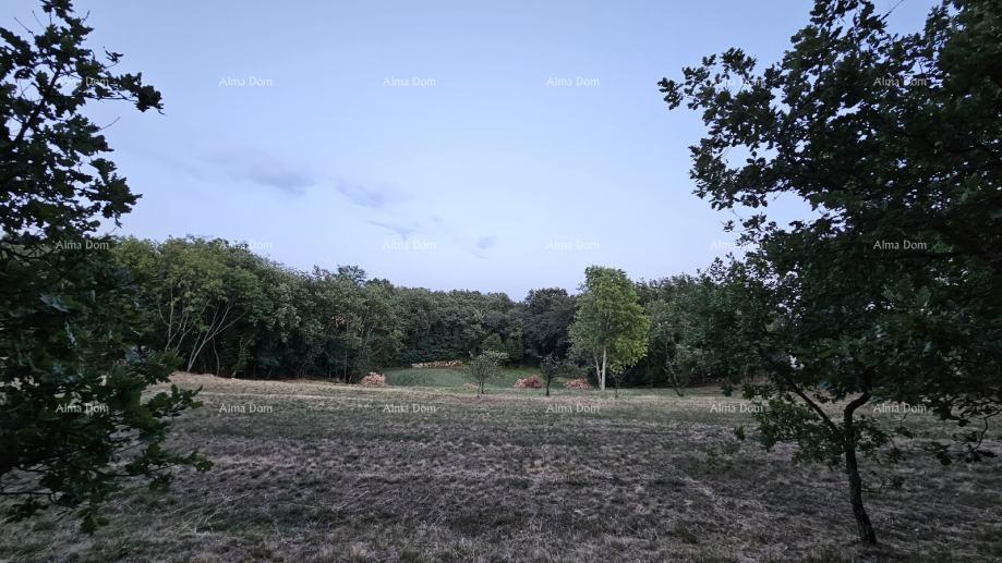 Pozemek Na prodej - ISTARSKA TINJAN