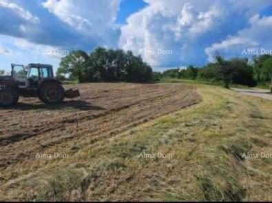 Land for sale 5100 m² – Balići I