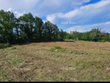 Terreno In vendita - Istarska žminj - foto 4/4
