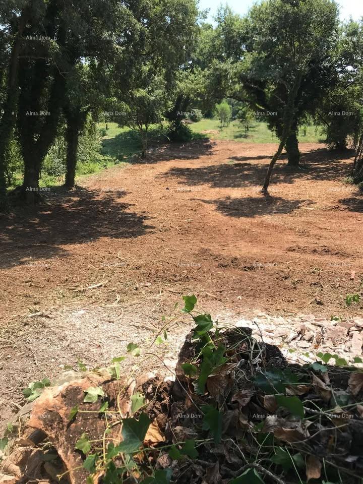 Parcela Na predaj - ISTARSKA MARčANA