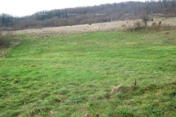 Grundstück zu verkaufen 5141 m² – Nedešćina