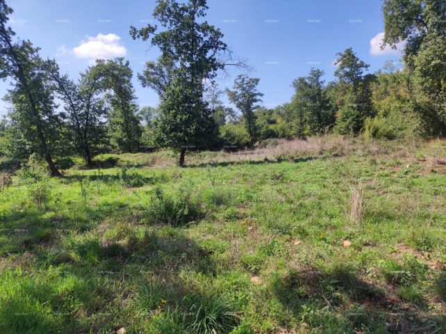 Zemljište na prodaju 9794 m² – Valtura