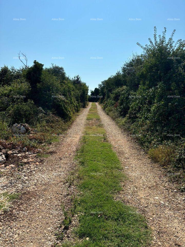 Land For sale - ISTARSKA Ližnjan