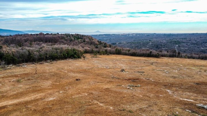 Parcela Naprodaj - Istarska Barban - foto 4/4