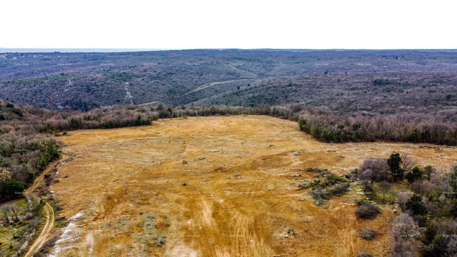 Parcela Na predaj - Istarska Barban - foto 2/3