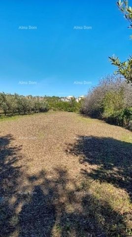 Land for sale 1793 m² – Premantura