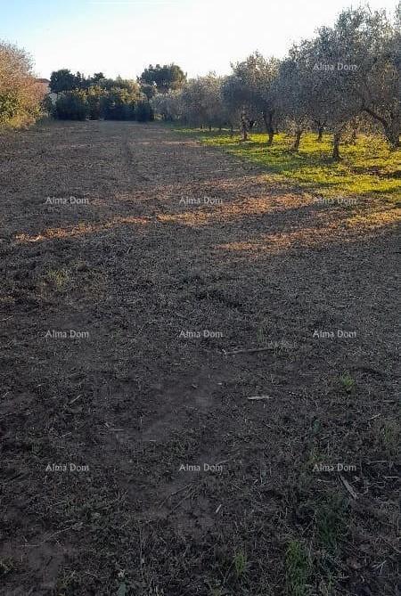 Parcela Na predaj - ISTARSKA MEDULIN