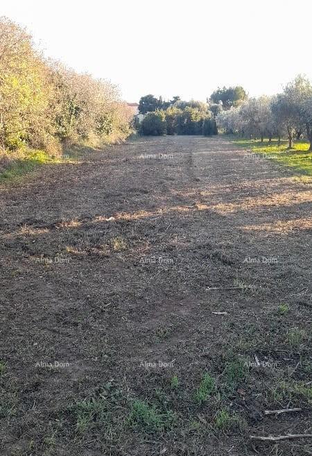 Land For sale - ISTARSKA Medulin