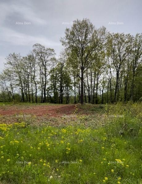 Parcela Na predaj - Istarska Barban - foto 2/5