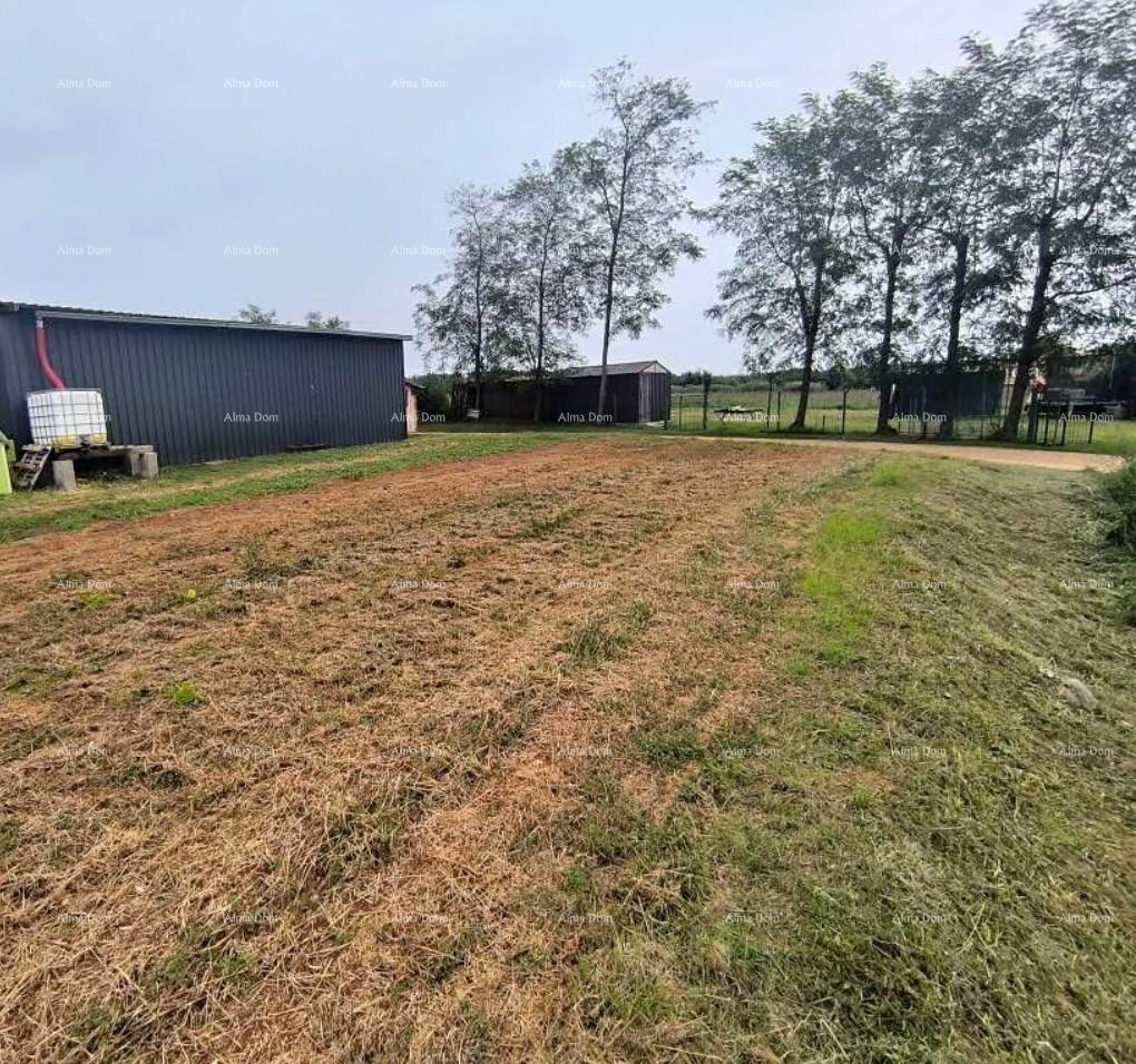 Terreno In vendita FIORINI