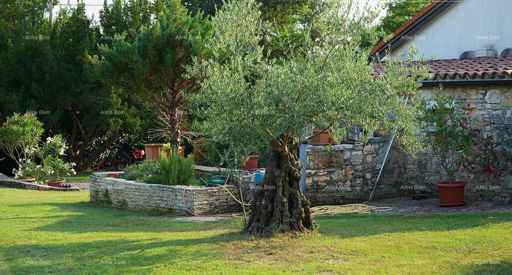 Casa In vendita - ISTARSKA UMAG