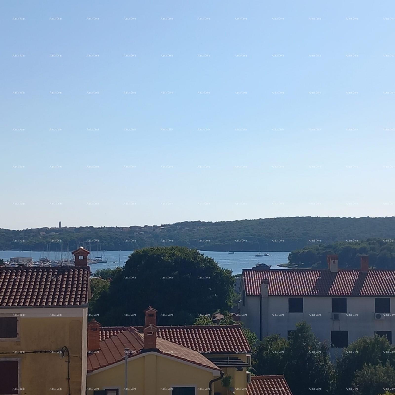 Flat For sale - ISTARSKA MEDULIN