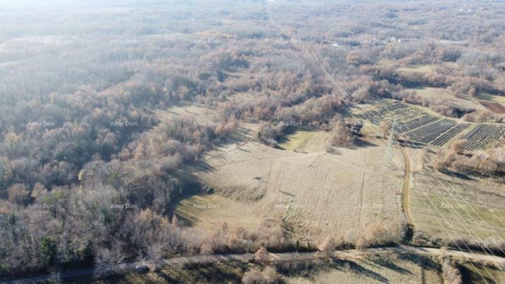 Land for sale 39143 m² – Labin