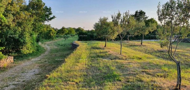 Terreno in vendita 1191 m² – Filipana