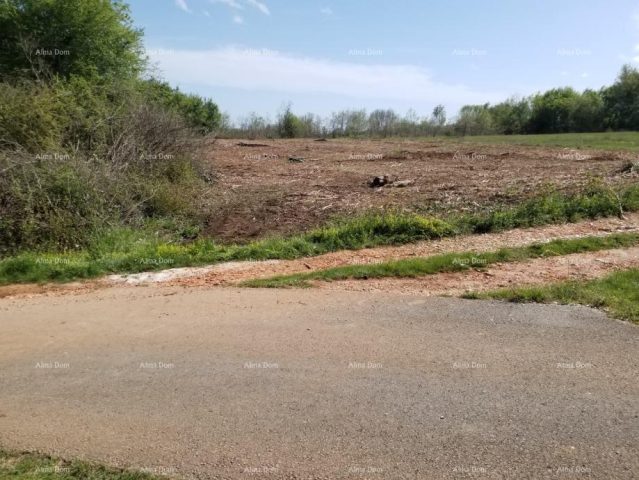 Land for sale 63000 m² – Labin
