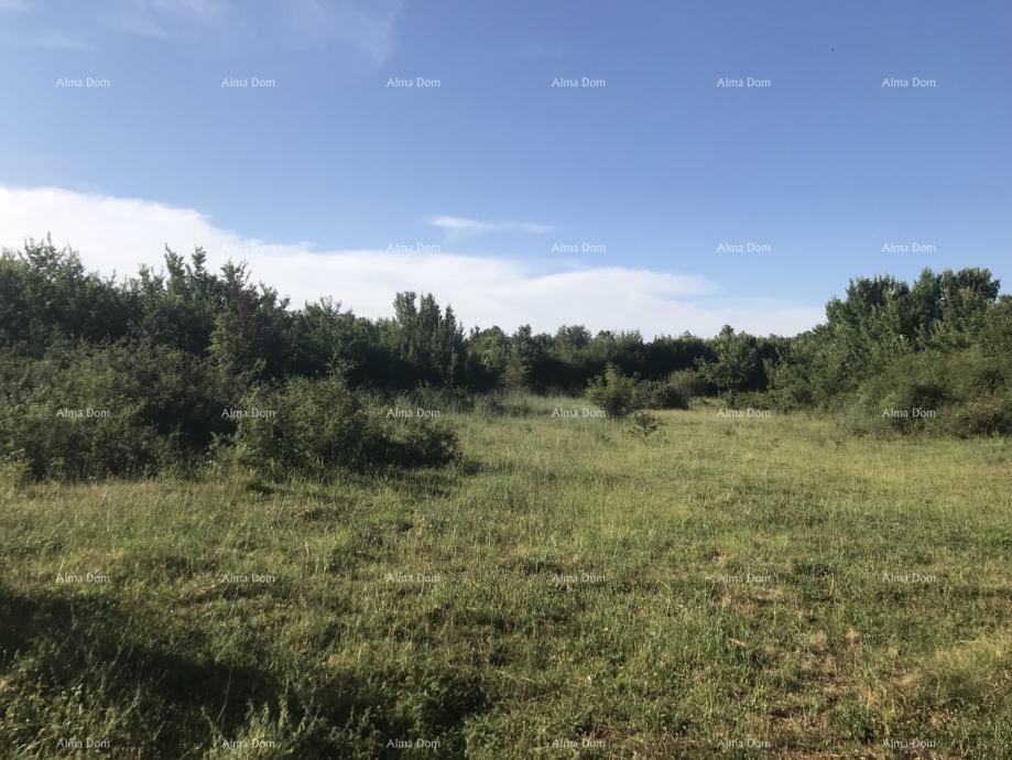 Zemljište Na prodaju - Istarska Marčana - foto 1/1